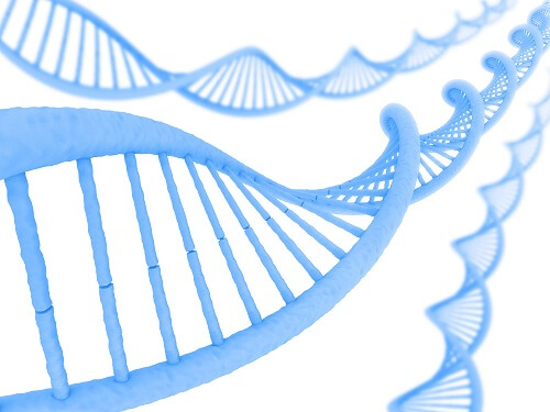 標的分子探索